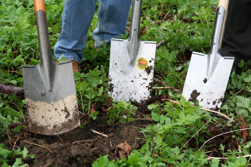 pepiniere-CHATEAUNEUF D ENTRAUNES-min_work-lawn-flower-tool-green-backyard-1103633-pxhere.com